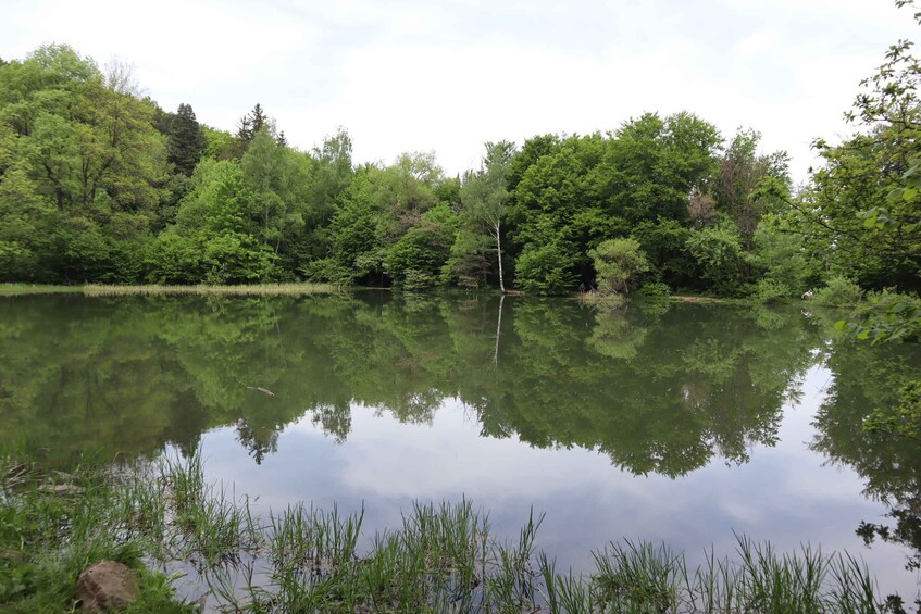 Picture 6 for Activity Experience Vitosha Mountain, a private hiking tour