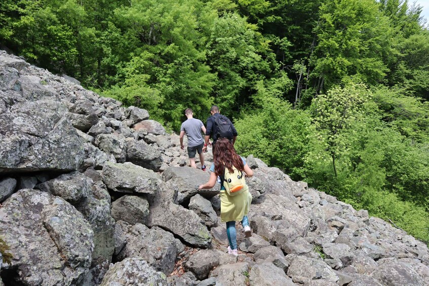 Picture 4 for Activity Experience Vitosha Mountain, a private hiking tour