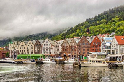 Tour privato a piedi di Bergen