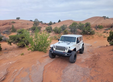 Afternoon Arches National Park 4x4 Tour