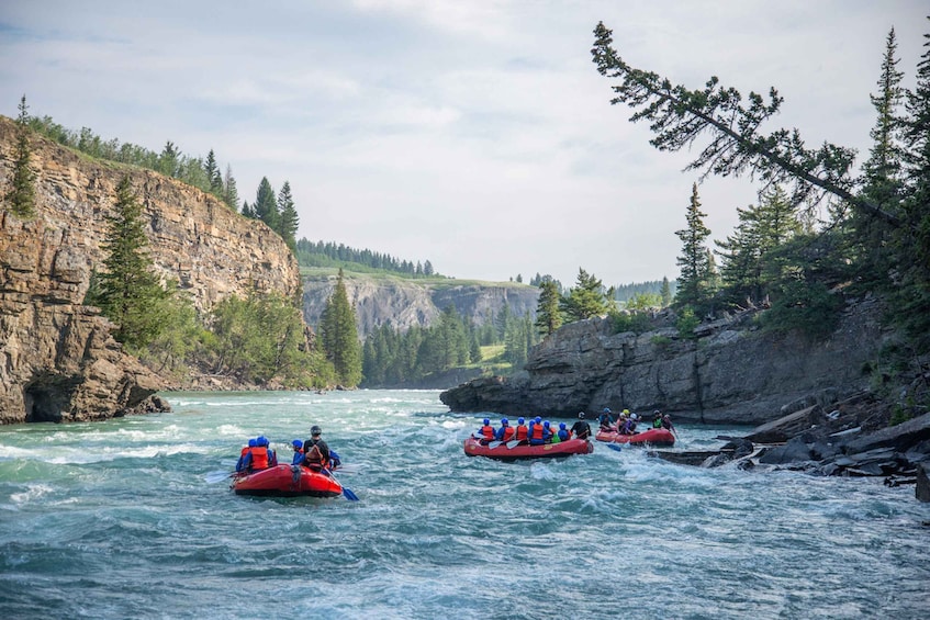 Picture 4 for Activity Banff: Horseshoe Canyon Whitewater Rafting Tour