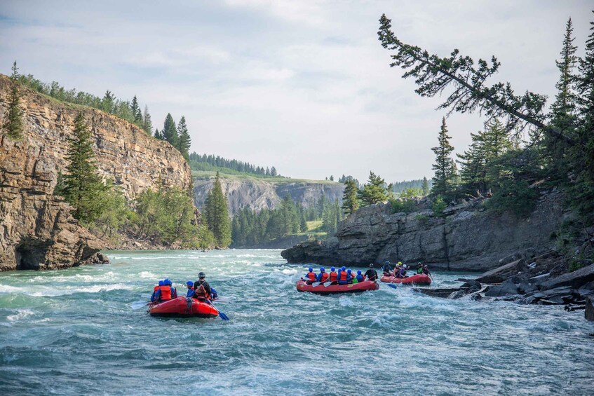Picture 4 for Activity Banff: Horseshoe Canyon Whitewater Rafting Tour