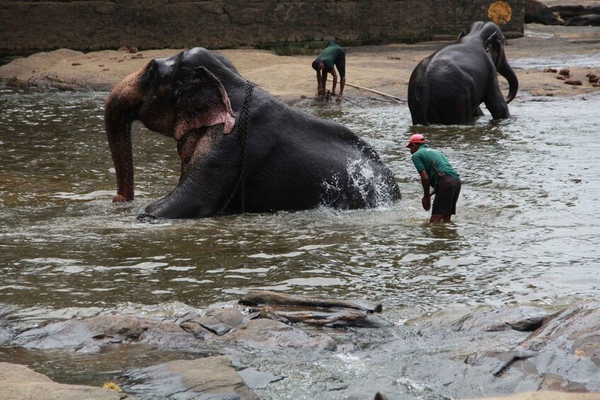 Picture 1 for Activity Luang prabang Elepphant keeper bathe option Kuangsi tour