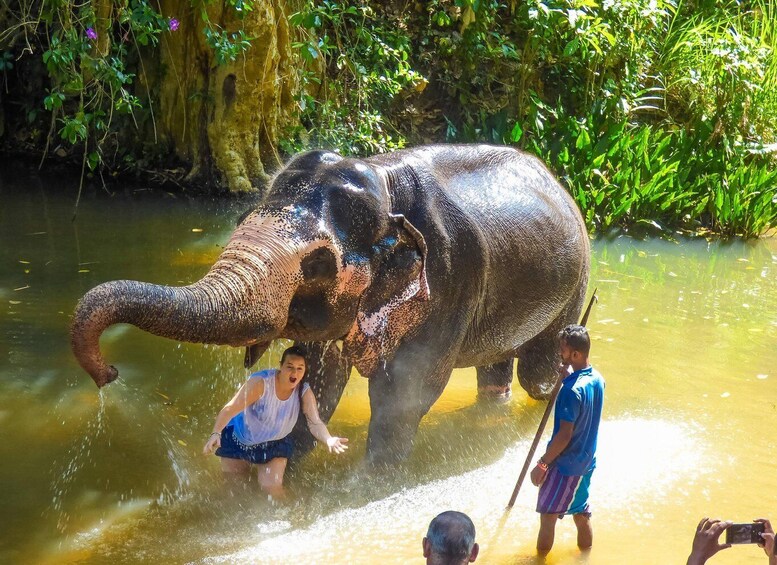 Luang prabang Elepphant keeper bathe option Kuangsi tour