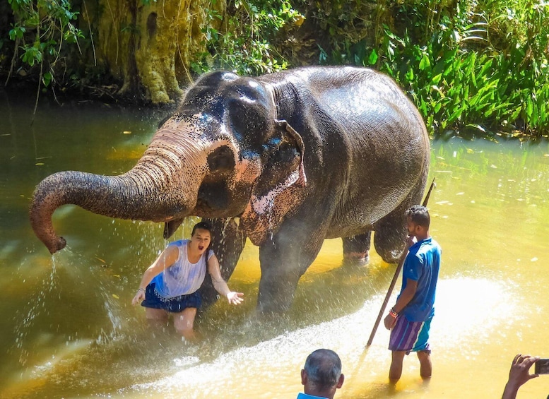 Luang prabang Elepphant keeper bathe option Kuangsi tour