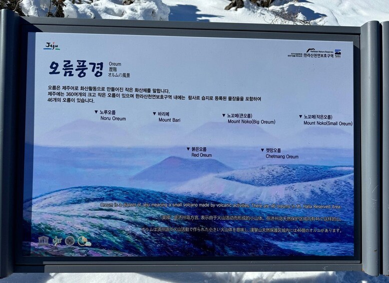Picture 7 for Activity Hike Hallasan on Jeju Island, South Korea's highest mountain