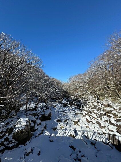 Picture 4 for Activity Hike Hallasan on Jeju Island, South Korea's highest mountain