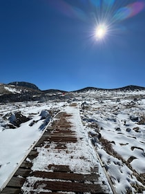 Hike Hallasan on Jeju Island, South Korea's highest mountain