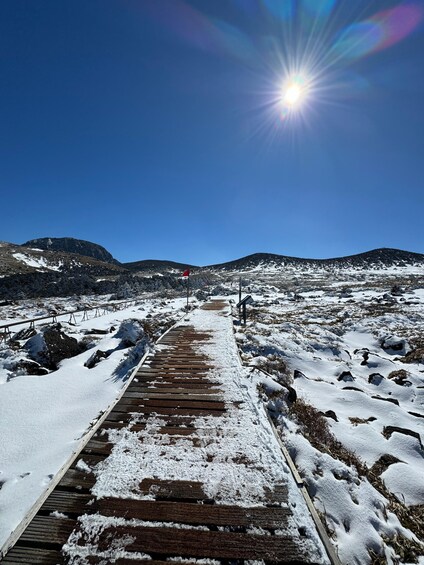 Picture 8 for Activity Hike Hallasan on Jeju Island, South Korea's highest mountain