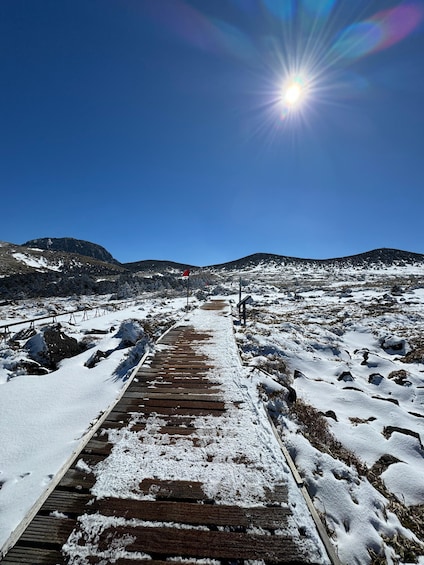 Picture 8 for Activity Hike Hallasan on Jeju Island, South Korea's highest mountain