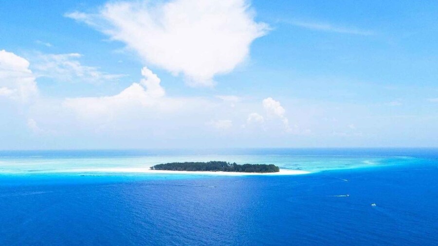 Mnemba Island, Jozani Forest, Kuza Cave, The Rock Restaurant
