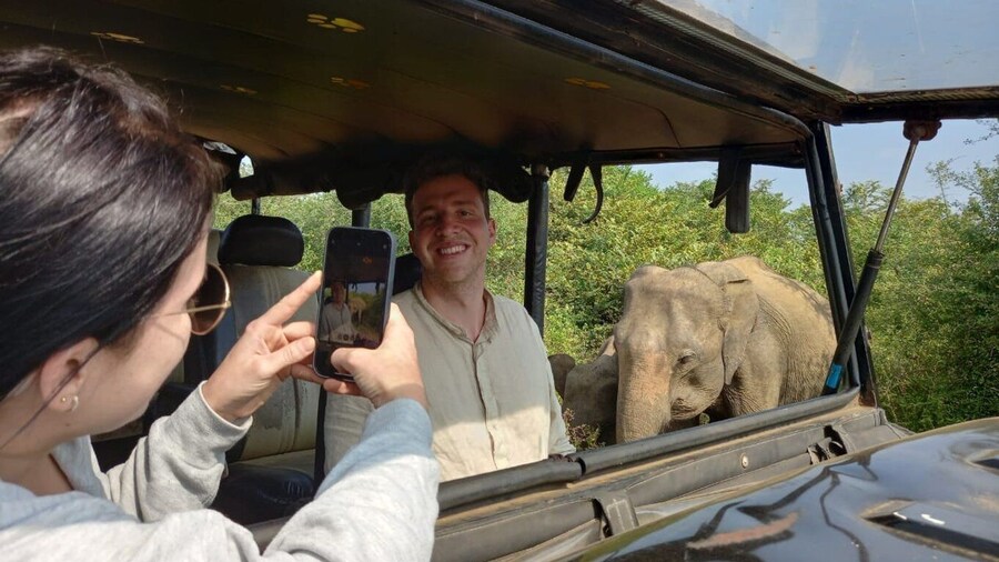 Udawalawe Wild Safari Tours | 7 Hours | All inclusive