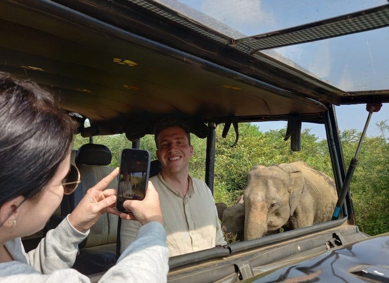 Udawalawe Wild Safari Tours | 7 Hours | All inclusive