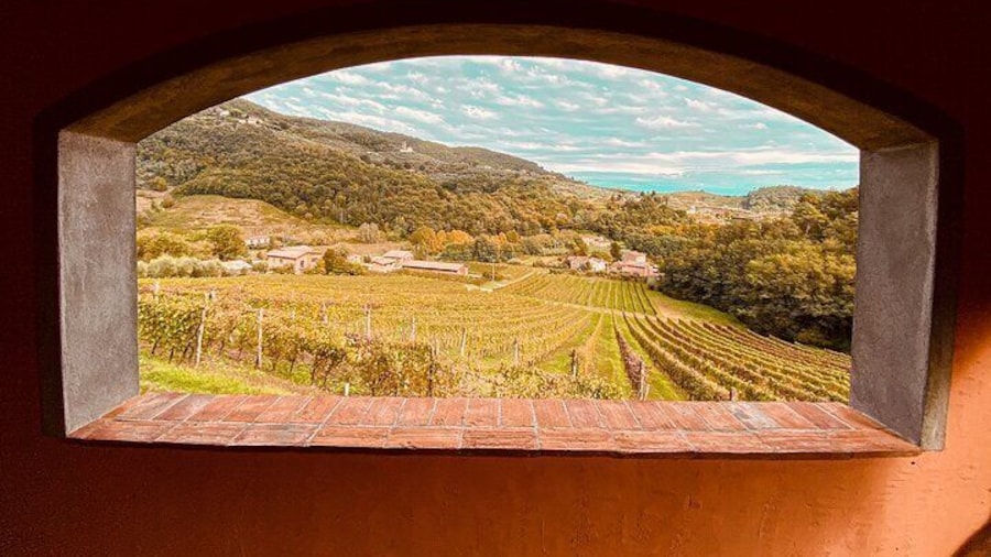 Private Wine Tasting Experience - Tenuta Adamo Winery