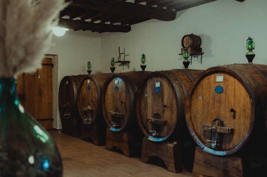 Lucca: Wine Tasting Experience - Tenuta Adamo Winery