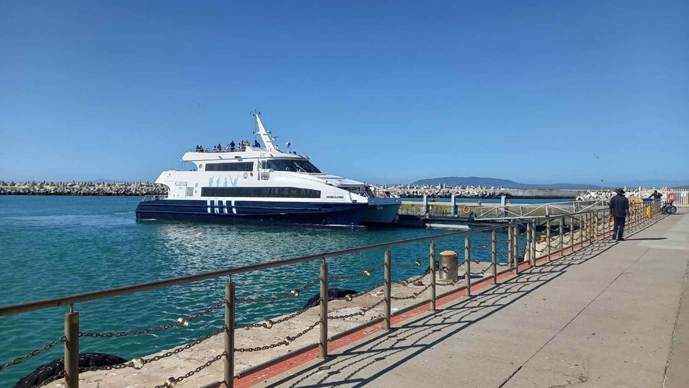 Picture 3 for Activity Robben Island,Table Mountain Full day Private Tour Cape Town