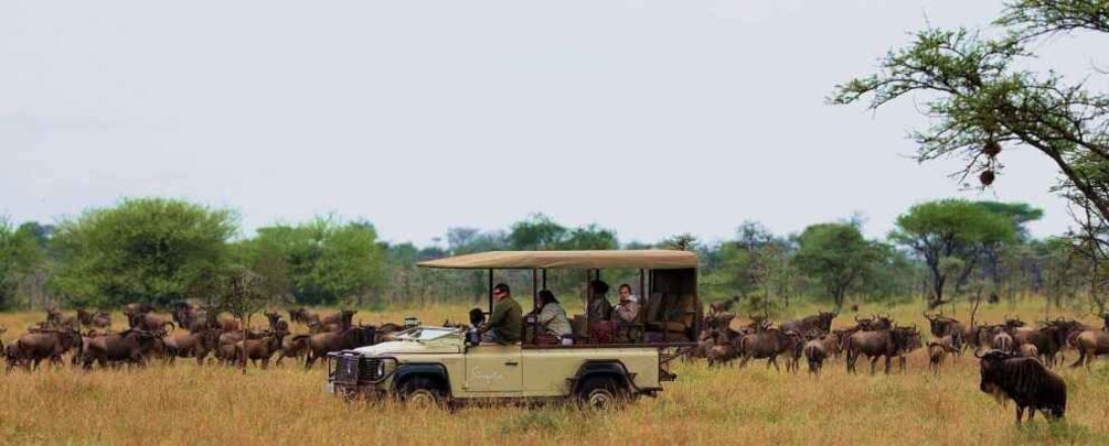 Picture 5 for Activity 4 Days Grumeti Wildebeest Migration Flying Package Safari