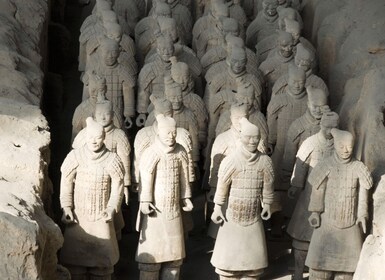 Hele dag Xi'an privé: Terracotta Krijgers en Stadstour