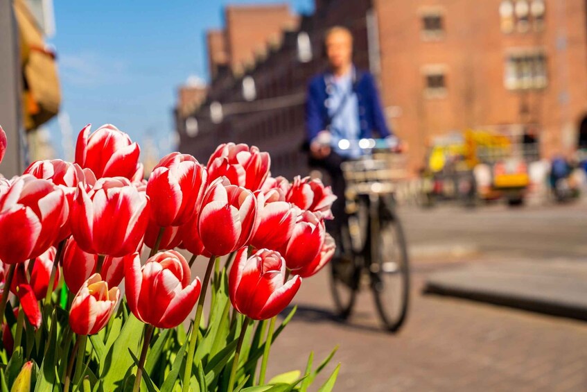 Picture 1 for Activity The Hague: Express Walk with a Local in 60 minutes