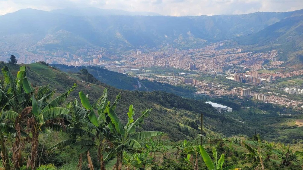 Medellin: Coffee Farm Tour & Spa with Overnight Glamping