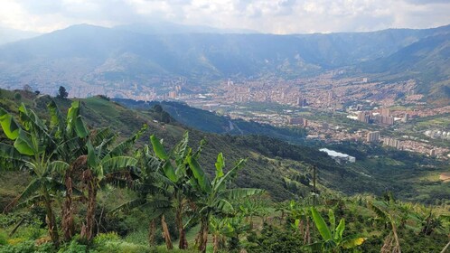 Medellin: Coffee Farm Tour & Spa with Overnight Glamping