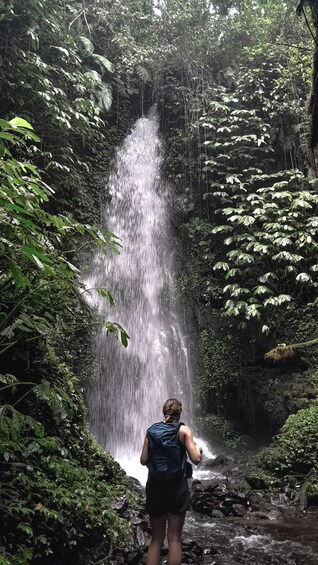 Picture 3 for Activity Half Day trip to the Waterfall & Rice fields