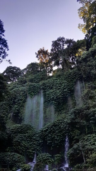 Half Day trip to the Waterfall & Rice fields