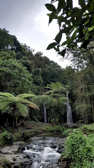 Picture 2 for Activity Half Day trip to the Waterfall & Rice fields