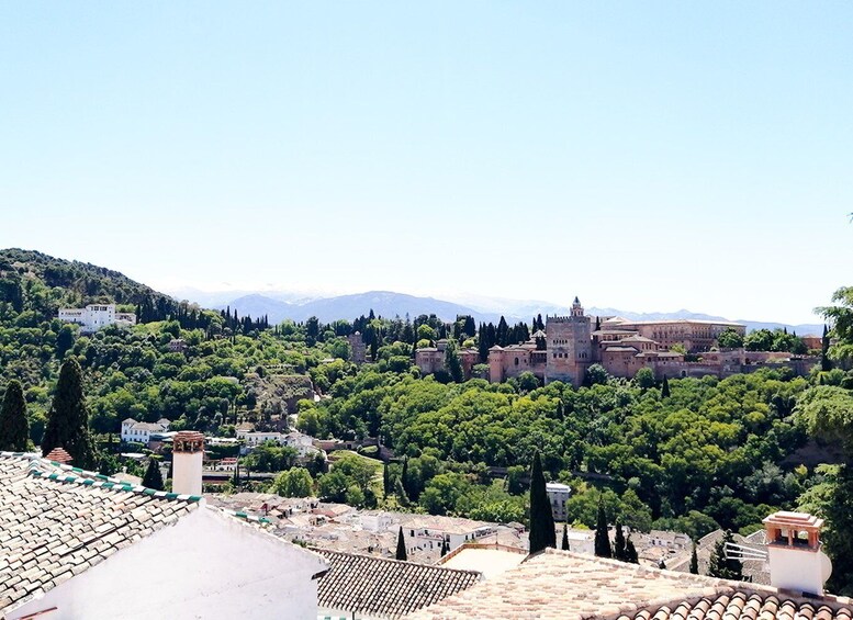 Picture 6 for Activity From Costa del Sol: Granada Day Trip Free Time 5h