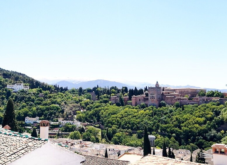 Picture 6 for Activity From Costa del Sol: Granada Day Trip Free Time 5h