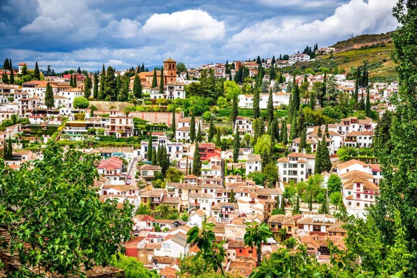 From Costa del Sol: Granada Day Trip Free Time 5h