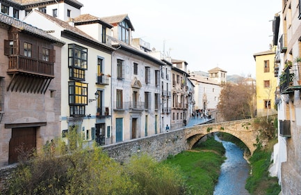 From Costa del Sol: Granada Day Trip Free Time 5h