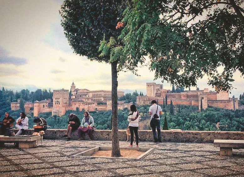 Picture 5 for Activity From Costa del Sol: Granada Day Trip Free Time 5h