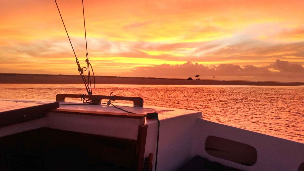 Picture 2 for Activity Sailboat Tour in Aracaju