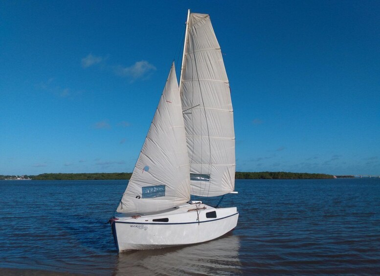 Sailboat Tour in Aracaju