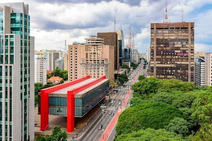 Santos Private Shore Excursion: Sao Paulo Full Day City Tour