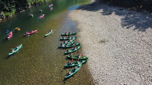 Arriondas: Descenso del Sella en Canoa