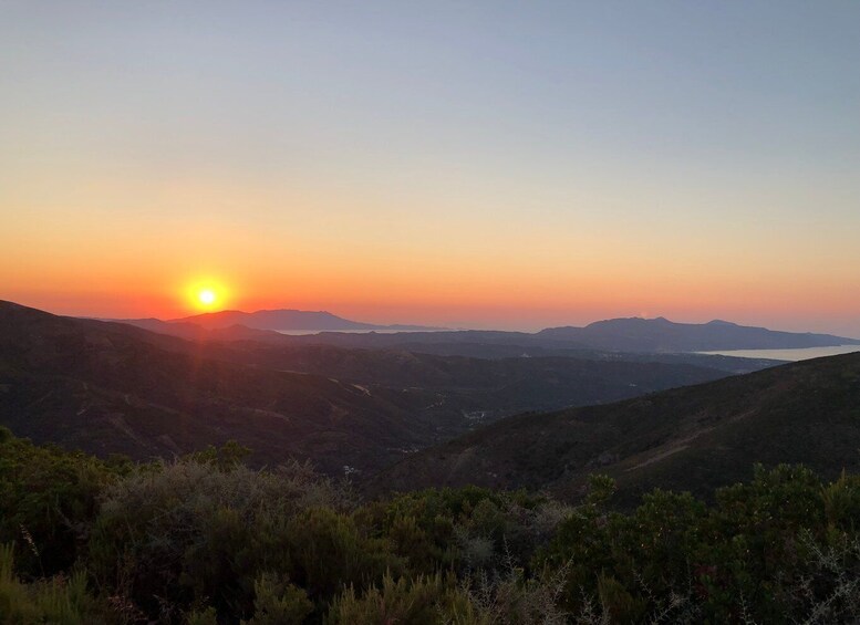 Picture 3 for Activity Corfu: Northwest Island Sunset Trip with Olive Oil Museum