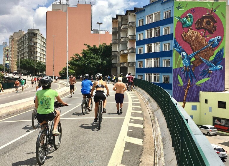 Picture 7 for Activity São Paulo Highlights: Culture, History, and Vibrance by Bike