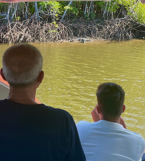 Picture 5 for Activity Port Douglas: River Cruise, Crocodile Spotting, Drink/ Snack