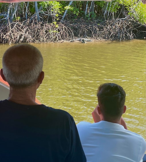 Picture 5 for Activity Port Douglas: River Cruise, Crocodile Spotting, Drink/ Snack