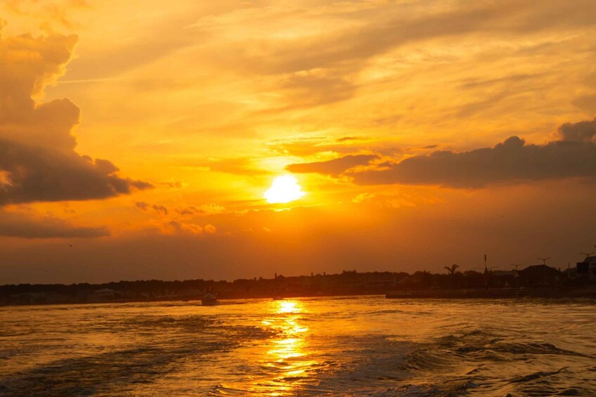 Picture 6 for Activity Ocean City, MD: Sea Rocket Sunset Cruise & Dolphin Watch