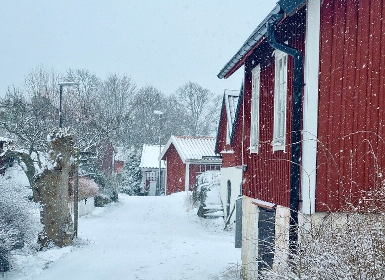 Picture 13 for Activity From Stockholm: Archipelago hike to Landsort lighthouse