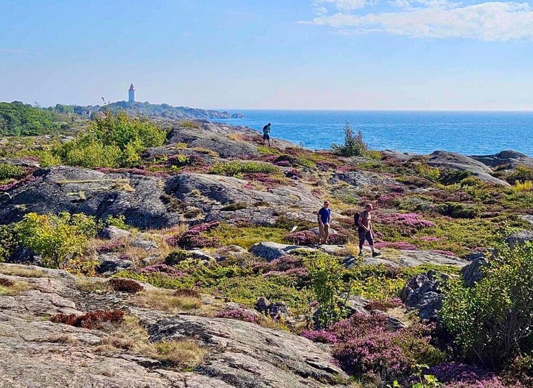 From Stockholm: Archipelago hike to Landsort lighthouse