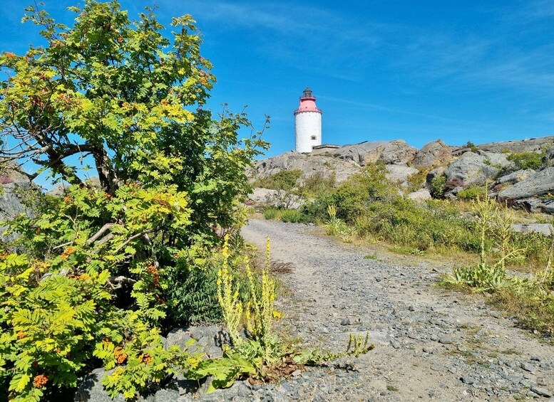 Picture 8 for Activity From Stockholm: Archipelago hike to Landsort lighthouse