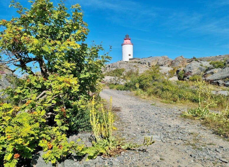 Picture 8 for Activity From Stockholm: Archipelago hike to Landsort lighthouse