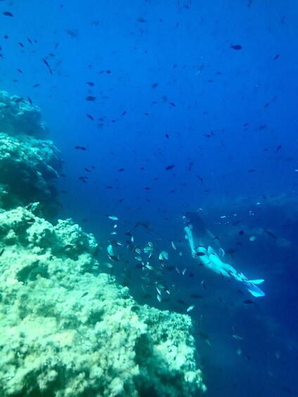 Picture 5 for Activity Cala Codolar: Guided Sea Kayaking and Snorkeling Tour
