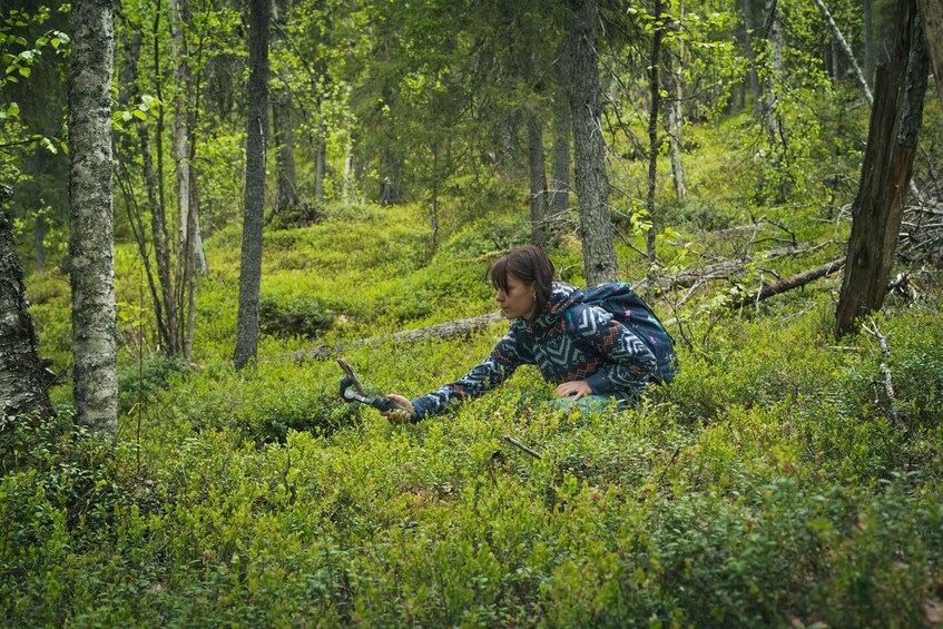 Picture 3 for Activity Auttiköngäs Hiking Experience