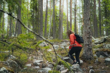 Auttiköngäs Hiking Experience