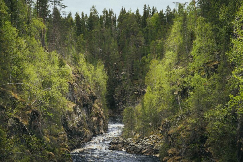 Picture 1 for Activity Auttiköngäs Hiking Experience